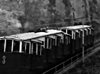 Napoli Violenta